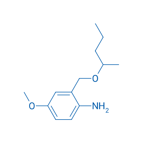 4-Methoxy-2-[(pentan-2-yloxy)methyl]aniline 1g