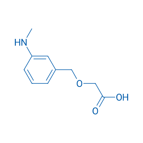 2-{[3-(methylamino)phenyl]methoxy}acetic acid 1g