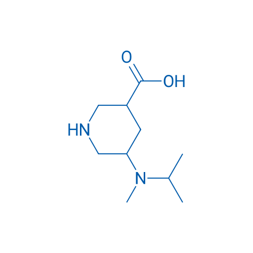 5-[Methyl(propan-2-yl)amino]piperidine-3-carboxylic acid 1g
