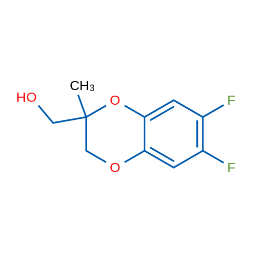 (6,7-Difluoro-2-methyl-2,3-dihydro-1,4-benzodioxin-2-yl)methanol 1g