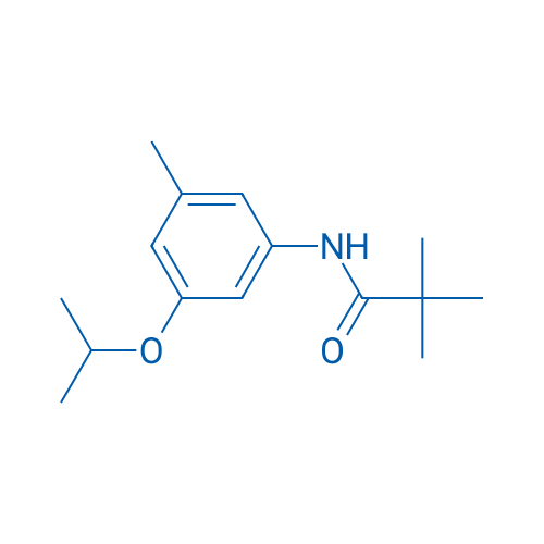 2,2-Dimethyl-N-[3-methyl-5-(propan-2-yloxy)phenyl]propanamide 1g