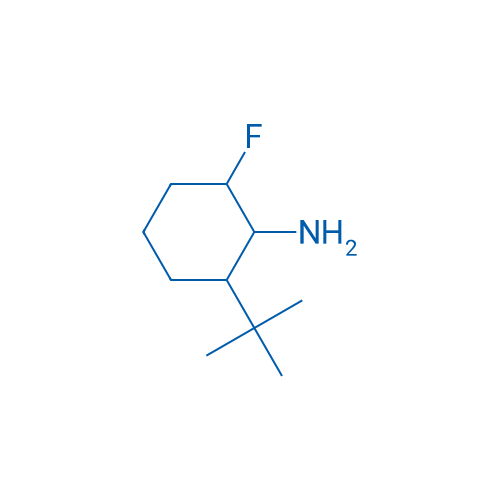 2-tert-Butyl-6-fluorocyclohexan-1-amine 1g