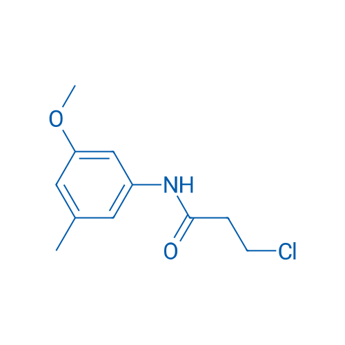 3-Chloro-N-(3-methoxy-5-methylphenyl)propanamide 1g