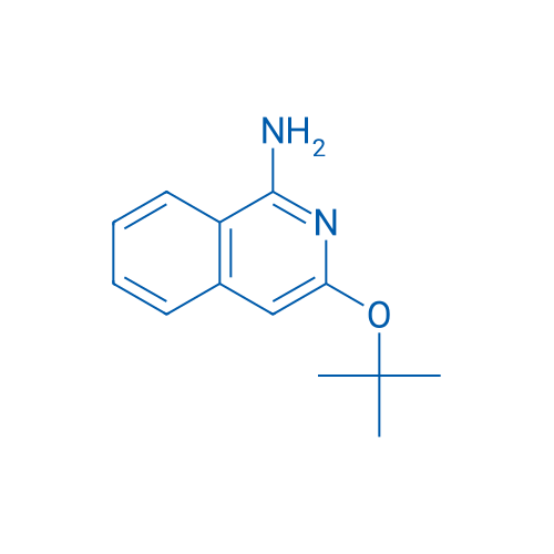 3-(tert-Butoxy)isoquinolin-1-amine 1g