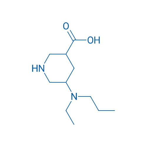 5-[Ethyl(propyl)amino]piperidine-3-carboxylic acid 1g
