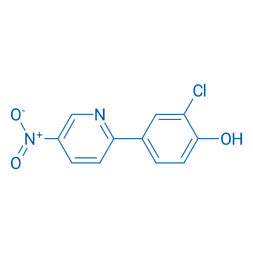 2-Chloro-4-(5-nitropyridin-2-yl)phenol 1g