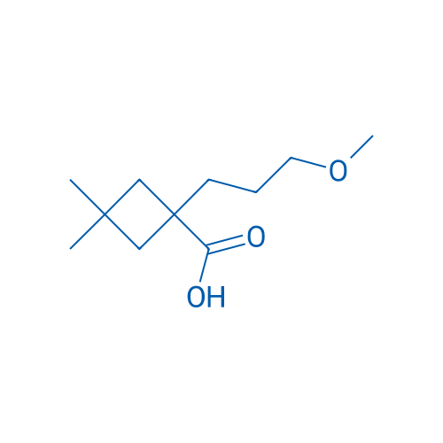 1-(3-Methoxypropyl)-3,3-dimethylcyclobutane-1-carboxylic acid 1g