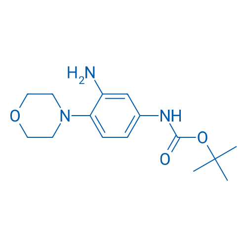 tert-Butyl N-[3-amino-4-(morpholin-4-yl)phenyl]carbamate 1g