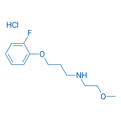 3-(2-Fluorophenoxy)-N-(2-methoxyethyl)propan-1-amine hydrochloride 1g