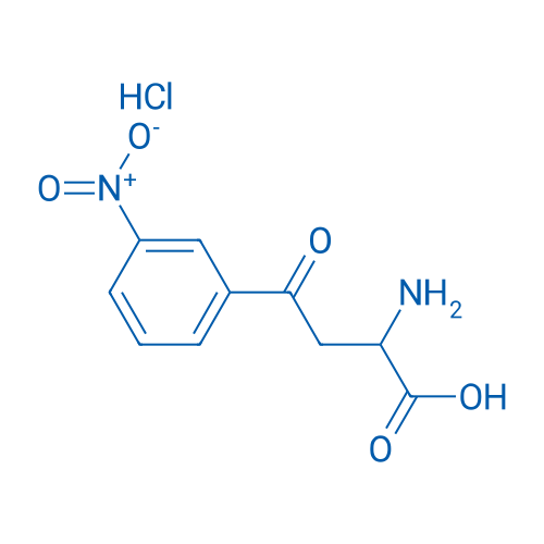 a-Amino-3-nitro-g-oxo-benzenebutanoic acid hydrochloride 1g