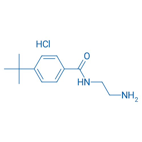 N-(2-Aminoethyl)-4-tert-butylbenzamide hydrochloride 1g