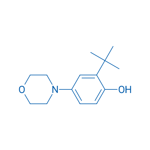2-(TERT-BUTYL)-4-MORPHOLINOPHENOL 250mg