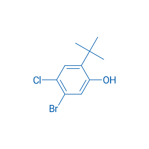 5-BROMO-2-(TERT-BUTYL)-4-CHLOROPHENOL 250mg