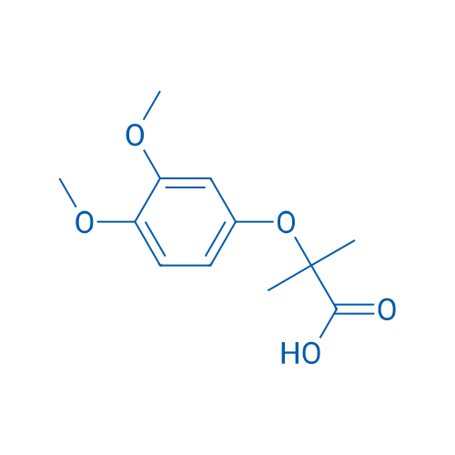 2-(3,4-DIMETHOXYPHENOXY)-2-METHYLPROPANOIC ACID 1g