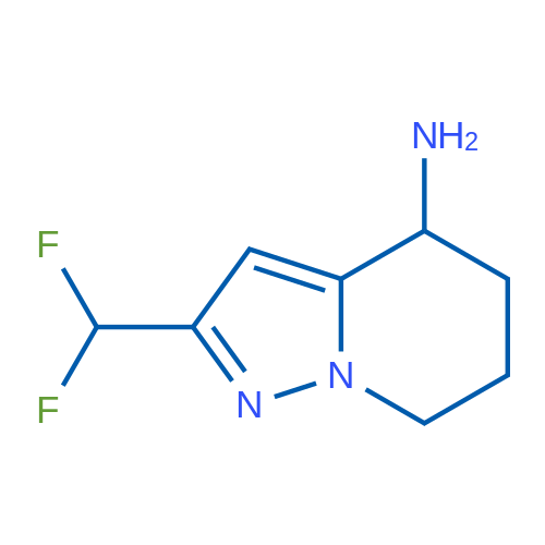 2-(Difluoromethyl)-4H,5H,6H,7H-pyrazolo[1,5-a]pyridin-4-amine 1g