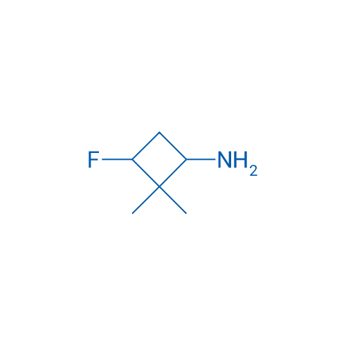 3-fluoro-2,2-dimethylcyclobutan-1-amine 100mg