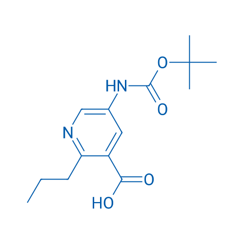 5-{[(tert-butoxy)carbonyl]amino}-2-propylpyridine-3-carboxylic acid 1g