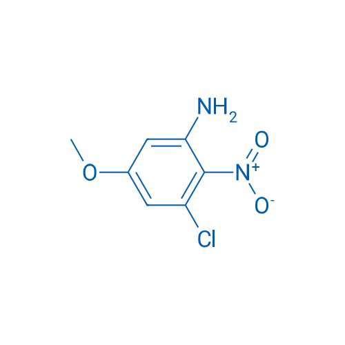 3-Chloro-5-methoxy-2-nitroaniline 100mg