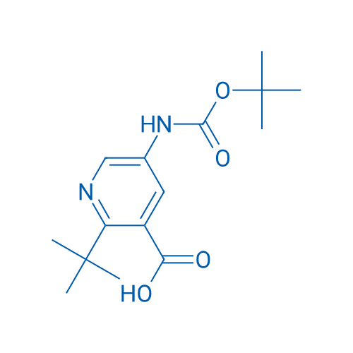 5-{[(tert-butoxy)carbonyl]amino}-2-tert-butylpyridine-3-carboxylic acid 1g