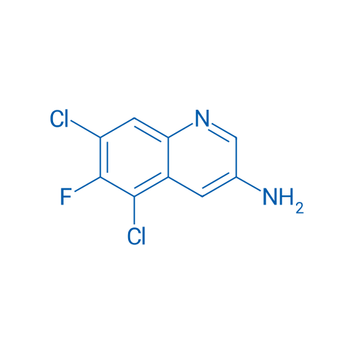 5,7-Dichloro-6-fluoroquinolin-3-amine 1g