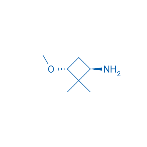 trans-3-Ethoxy-2,2-dimethylcyclobutan-1-amine 100mg