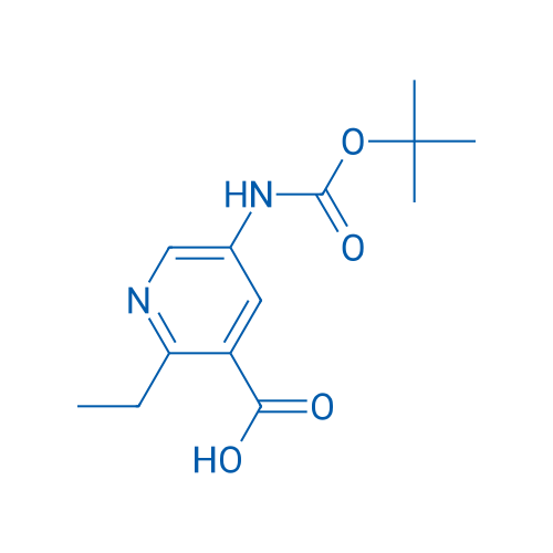 5-{[(tert-butoxy)carbonyl]amino}-2-ethylpyridine-3-carboxylic acid 1g