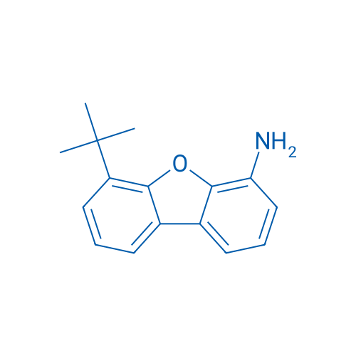 6-(tert-Butyl)dibenzo[b,d]furan-4-amine 1g