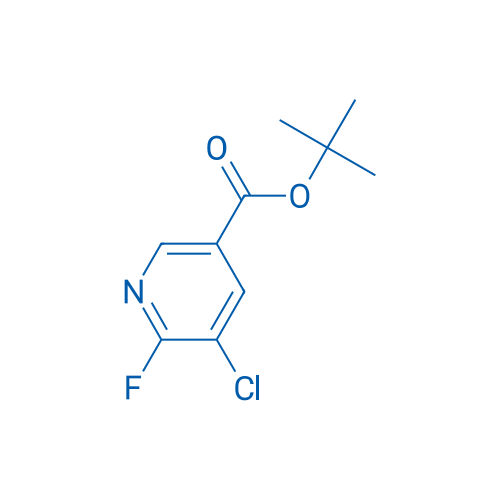tert-Butyl 5-chloro-6-fluoronicotinate 1g