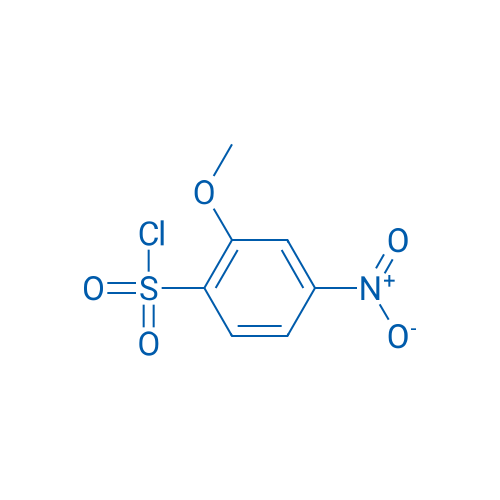 2-Methoxy-4-nitrobenzene-1-sulfonyl chloride 1g