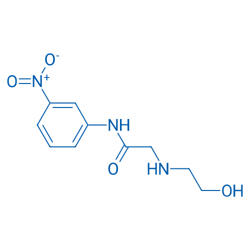 2-[(2-Hydroxyethyl)amino]-N-(3-nitrophenyl)acetamide 1g