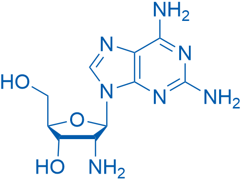 (2R,3S,4R,5R)-4-Amino-5-(2,6-diamino-9H-purin-9-yl)-2-(hydroxymethyl)tetrahydrofuran-3-ol 100mg