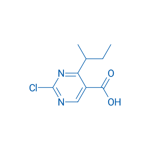 4-(sec-Butyl)-2-chloropyrimidine-5-carboxylic acid 1g