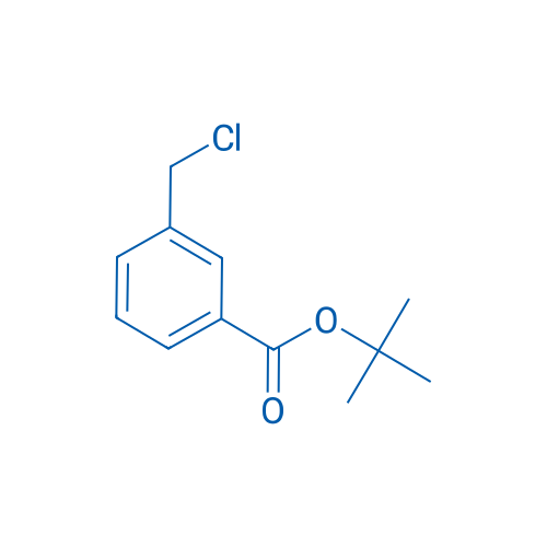 tert-Butyl-3-(chloromethyl)benzoate 25g