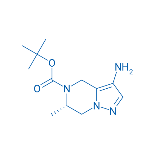 tert-Butyl (S)-3-amino-6-methyl-6,7-dihydropyrazolo[1,5-a]pyrazine-5(4H)-carboxylate 100mg