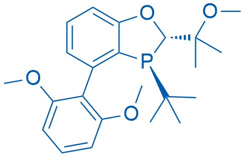 (2S,3S)-3-(tert-Butyl)-4-(2,6-dimethoxyphenyl)-2-(2-methoxypropan-2-yl)-2,3-dihydrobenzo[d][1,3]oxaphosphole 25mg