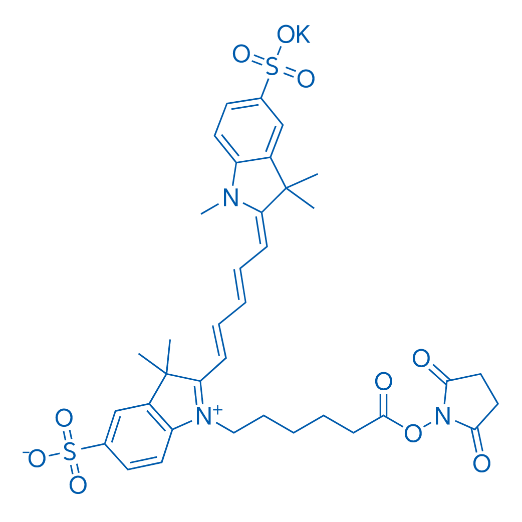 Sulfo-CY5-NHS ester potassium 50mg