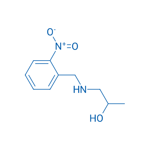1-{[(2-nitrophenyl)methyl]amino}propan-2-ol 1g