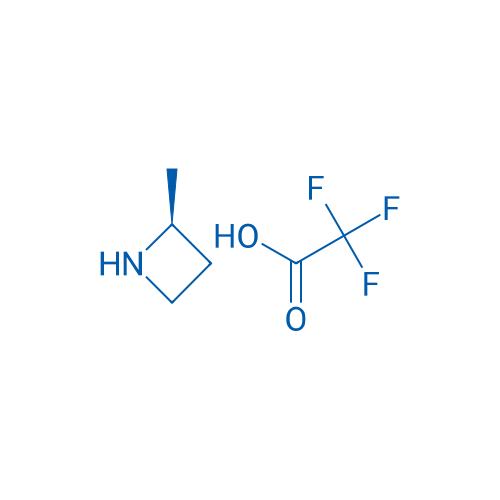 (S)-2-METHYLAZETIDINE TFA 250mg