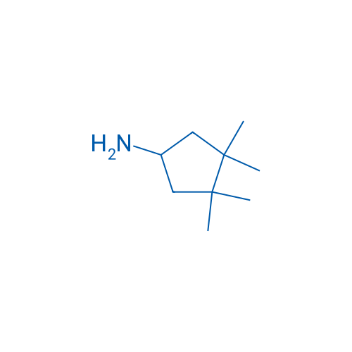 3,3,4,4-Tetramethylcyclopentan-1-amine 1g