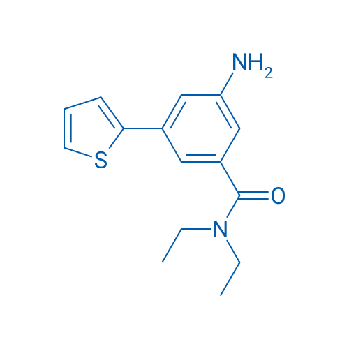 3-Amino-N,N-diethyl-5-(thiophen-2-yl)benzamide 1g