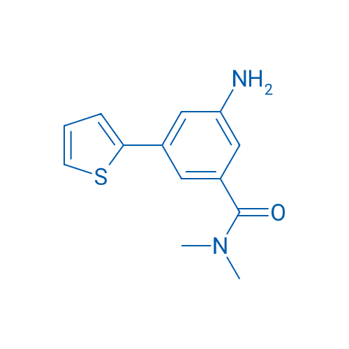 3-Amino-N,N-dimethyl-5-(thiophen-2-yl)benzamide 1g