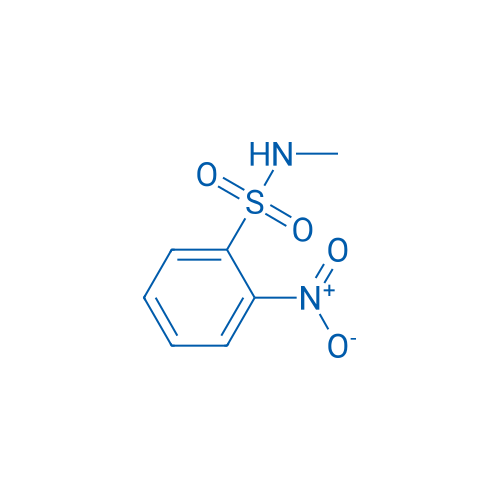 N-Methyl-2-nitrobenzenesulfonamide 250mg