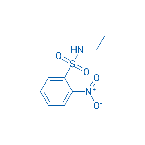 N-Ethyl-2-nitrobenzenesulfonamide 1g