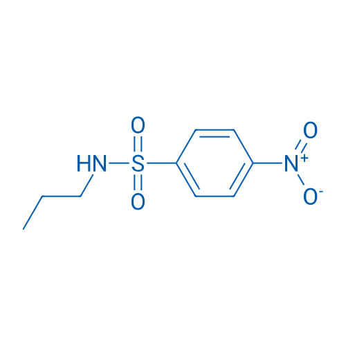4-Nitro-N-propylbenzenesulfonamide 1g
