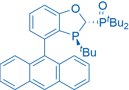 ((2S,3S)-4-(Anthracen-9-yl)-3-(tert-butyl)-2,3-dihydrobenzo[d][1,3]oxaphosphol-2-yl)di-tert-butylphosphine oxide 25mg