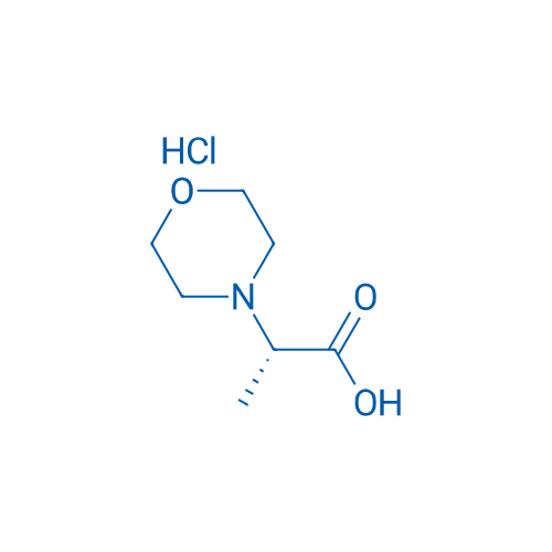(S)-2-Morpholin-4-yl-propionic acid hydrochloride 1g