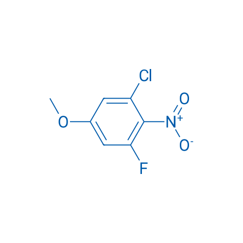 1-Chloro-3-fluoro-5-methoxy-2-nitrobenzene 100mg