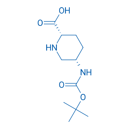 Rel-(2S,5S)-5-((tert-butoxycarbonyl)amino)piperidine-2-carboxylic acid 1g
