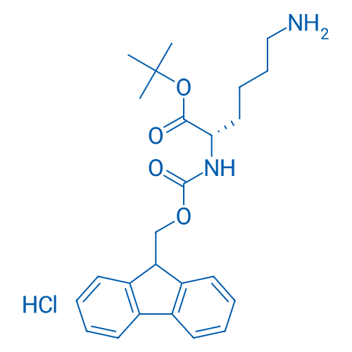 Fmoc-Lys-OtBu·HCl 100g