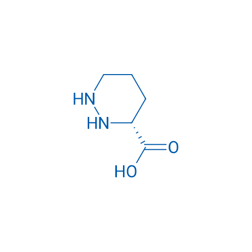 (R)-Hexahydropyridazine-3-carboxylic acid 5g
